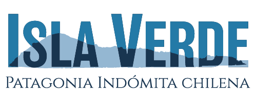 logo dark